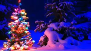 Christmas Setting